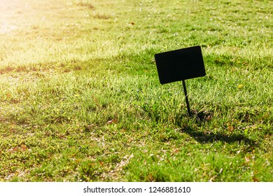 Sign For Text On Green Lawn. Copy Space / Mock Up