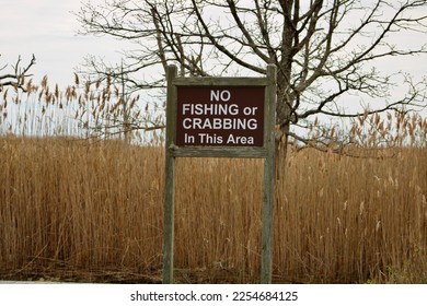 A sign that says "No fishing or crabbing in this area". - Shutterstock ID 2254684125