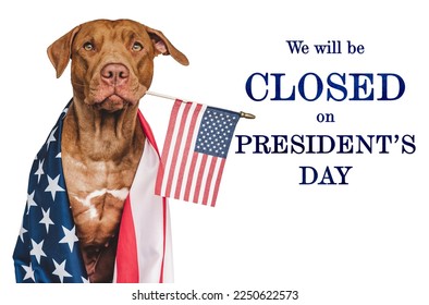 Sign that says We will be closed on President's Day. Lovable, charming puppy with the American Flag. Studio shot. Signboard layout for you store. Closeup, no people - Shutterstock ID 2250622573