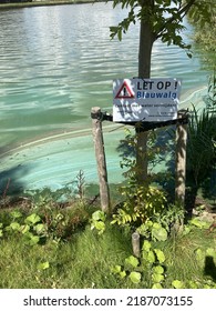 A Sign That Warns For Blue-green Algae. Avoid Contact With Water. Polluted Water That Makes You Sick If You Swim In It. Zeewolde Flevoland Netherlands. 6 Aug 2022