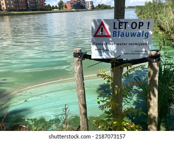 A Sign That Warns For Blue-green Algae. Avoid Contact With Water. Polluted Water That Makes You Sick If You Swim In It. Zeewolde Flevoland Netherlands. 6 Aug 2022