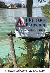 A Sign That Warns For Blue-green Algae. Avoid Contact With Water. Polluted Water That Makes You Sick If You Swim In It. Zeewolde Flevoland Netherlands. 6 Aug 2022