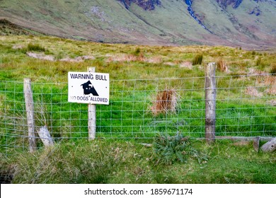 Sign warning of a bull in a field in County Donegal - Ireland.