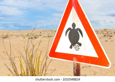 Sign warning tourists of the turtle nesting season