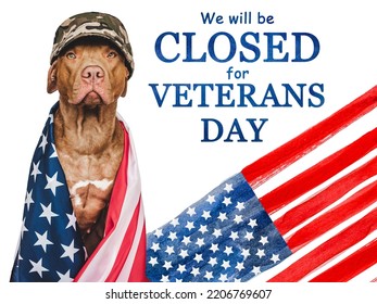 Signboard with the inscription We will be closed for Veterans Day. Adorable puppy and American Flag. Closeup, indoors. Congratulations for family, relatives, friends and colleagues. Pet care concept