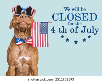 Signboard with the inscription We will be closed for the 4th of July. Cute brown puppy. Closeup, indoors. Studio shot. Congratulations for family, loved ones, friends and colleagues. Pets care concept
