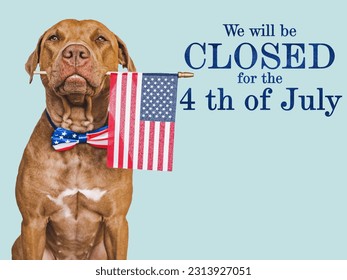 Signboard with the inscription We will be closed for the 4th of July. Cute brown puppy. Closeup, indoors. Studio shot. Congratulations for family, loved ones, friends and colleagues. Pets care concept - Shutterstock ID 2313927051