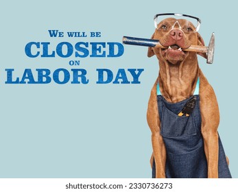 Signboard with the inscription We will be closed on Labor Day. Cute puppy and protective glasses. Closeup. Studio shot. Congratulations for family, loved ones, friends and colleagues. Pet care concept - Shutterstock ID 2330736273