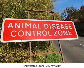A signpost advising of an Avian Flu infection zone, Chelsworth,  Suffolk, England, UK 