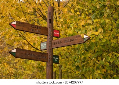 Signposted paths. Directional signpost on long-distance trail in the forest. Selective focused.Horizontal