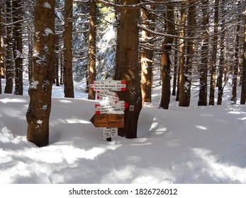 Signposts For Hikers In The Snowy Woods Above The Lake Santo Parmense