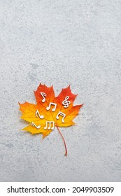 signs of musical notes and orange maple leaf on abstract grey background. Autumn melody, World Music day concept, 1 october. fall season. flat lay. copy space. template for design
