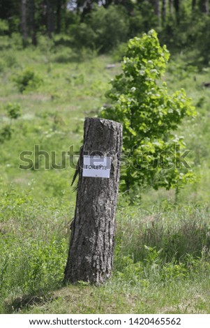 Similar – Image, Stock Photo adrenaline rush Summer