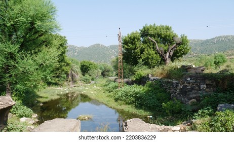 Sikar, Rajasthan, India - September 2022: A Nice Green Nature