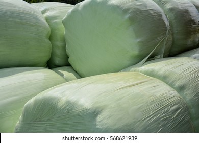 Silage Bales