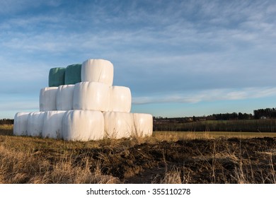 Silage Bales On A Field