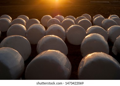 Silage Bales Shining At Sunset