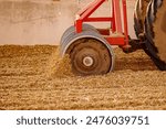 Silage production concept. Heavy roller on tractor for pressing silo on cattle farm, fermented feed for food of cow. Compacting chopped maize.