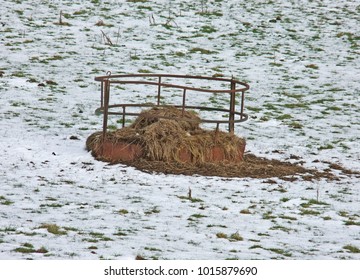 Silage In A Round Bale Feeder In Field In Ireland