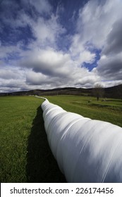 Silage Tube Stretching To Horizon.