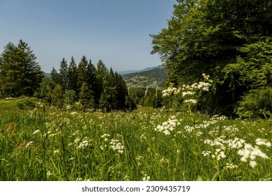 Silberberg mountain peak view, the Silberberg is a mountain above the village Bodenmais in the bavarian forest, germany