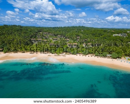 Silent Beach, Tangalle, Sri Lanka, December 2023
Top aerial drone view of a beach, tropical paradise, palm trees, ocean from above, white sand