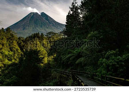 Silent Path Towards Mount Merapi