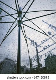 Silhouetle Of Raindrops On See Through Umbrella, After Rain