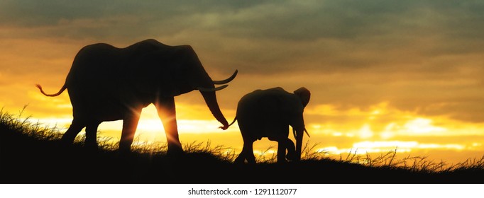 baby elephant silhouette images stock photos vectors shutterstock https www shutterstock com image photo silhouette african elephants baby mother sunset 1291112077