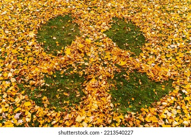 Silhouette angel made autumn leaves green grassy lawn7 Deciduous autumn angel made from fallen yellow bright leaves  Top flat top view 