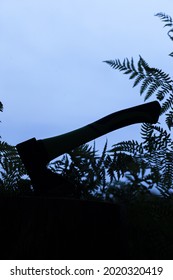 Silhouette Of An Ax With Ferns While Hiking. Selective Focus. Blured Photo