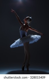 silhouette of the ballerina  in the role of a white swan on dack background