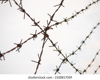 silhouette of the barbed wire on white background - Shutterstock ID 2100817039