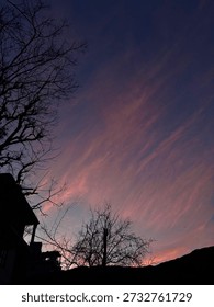 Silhouette of bare trees against a dramatic purple and pink sunset sky with wispy clouds.
Atmospheric): Tranquil evening twilight featuring vibrant pink cirrus clouds and dark tree silhoue