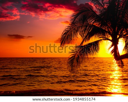 Silhouette of beautiful sunset on the sea beach with palm tree for travel in holiday relax time as summer