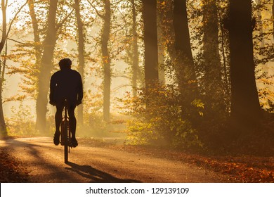 Silhouette of a biker in autumn on a sunny afternoon - Powered by Shutterstock