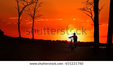 Silhouette of a biker with a dog, walking in the forest at sunset 