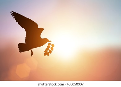 Silhouette Of Bird Carrying Leaf Branch And International Day Of Peace 2016