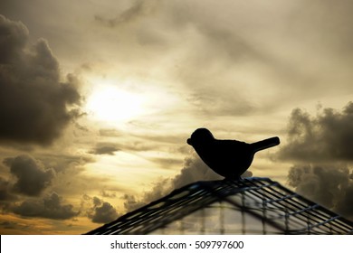 Silhouette bird escaping from the cage. Freedom concept.