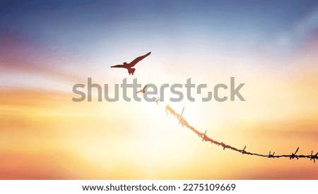 Image, Stock Photo Mute wire Nature Sky