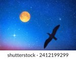 Silhouette of a bird with full Moon and stars.