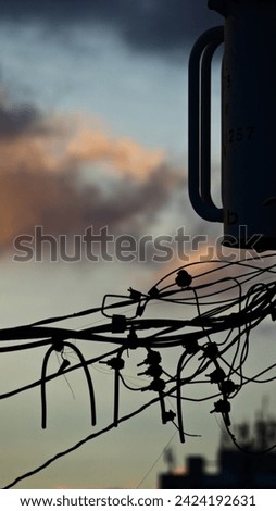 silhouette of a bird perched between connections and power cables in an urban area under a twilight sky.