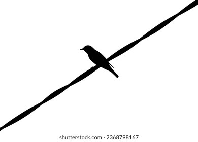 silhouette of bird perched on wire, postal envelope - Shutterstock ID 2368798167