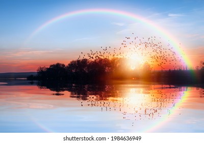 Silhouette of birds flying above the lake with rainbow at amazing sunset