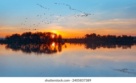 Silhouette of birds flying above the lake at amazing sunset - Powered by Shutterstock