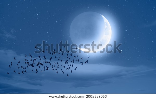 Silhouette of birds flying - Night\
sky with crescent bright moon in the clouds, blue sea in the\
foreground \