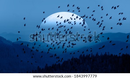 Silhouette of birds flying over blue mountains - Beautiful landscape with blue misty silhouettes of mountains against super blue moon rising 
