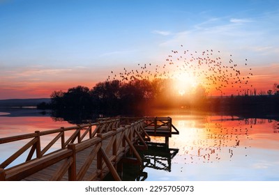 Silhouette of birds flying over the lake - A calm and silent evening at sunset at a small forest lake in Turkey - In the foreground there is a wooden pier - Powered by Shutterstock