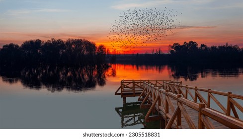 Silhouette of birds flying over the lake - A calm and silent evening at sunset at a small forest lake in Turkey - In the foreground there is a wooden pier - Powered by Shutterstock