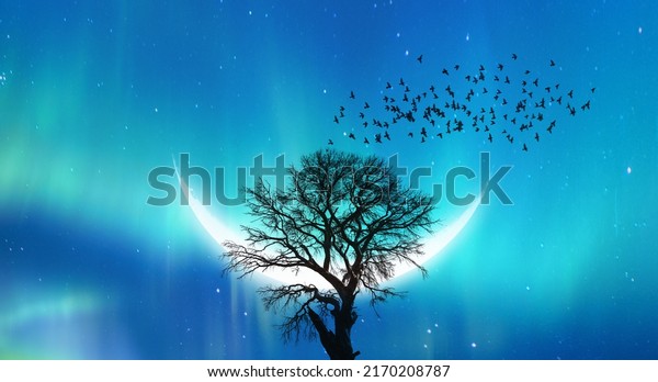 Silhouette of birds\
flying over the lone dead  tree in the background big crescent moon\
and aurora borealis